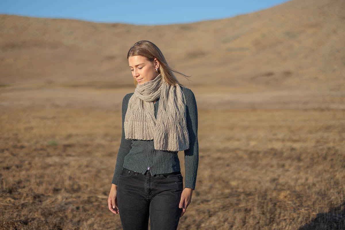 Humboldt Current Scarf, PDF
