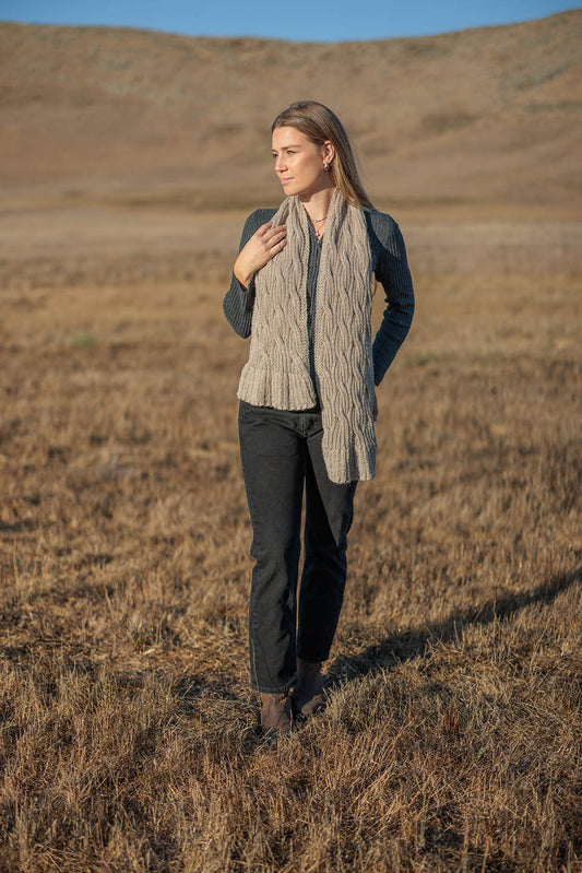 Humboldt Current Scarf, PDF