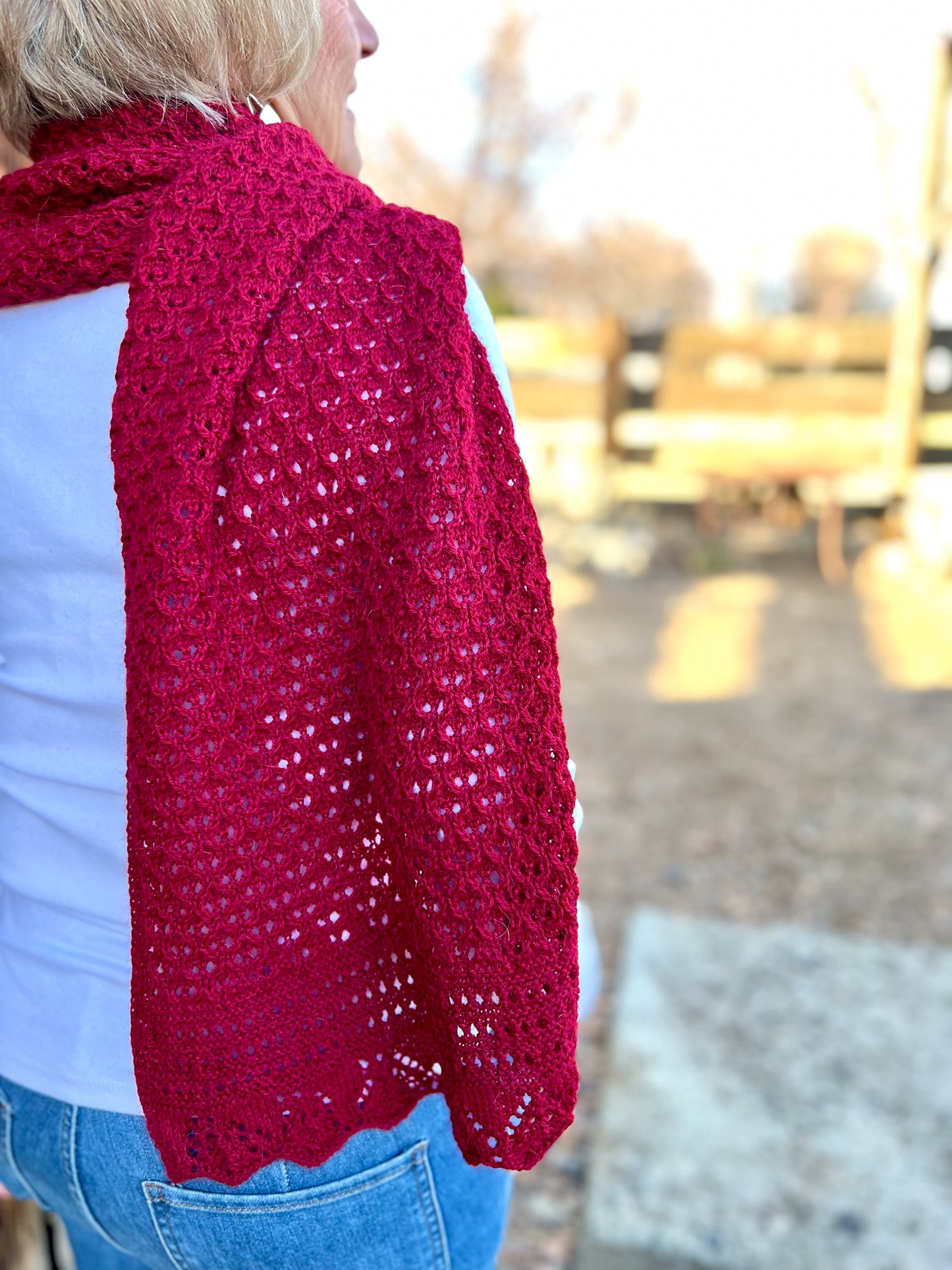 Poinsettia Punch Wrap, PDF